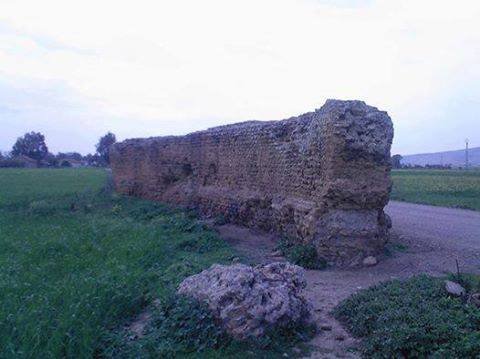 العطـــــــاف .. في العهد الروماني ( كانت تسمى TIGAVA CASTRA )