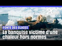 Planète - Fonte des glaces: En Arctique comme en Antarctique, la banquise n’a jamais été aussi réduite