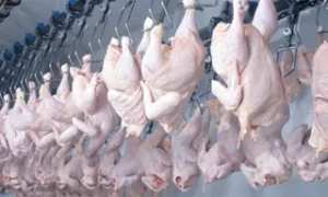 أصدقاء المريض  بالأبيض سيدي الشيخ    برمجة عمليات الختان خلال الشهر الفضيل