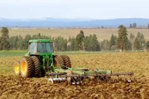 تلمسان: عبد القادر كسار من الارندي يفوز بمقعد بمجلس الأمة