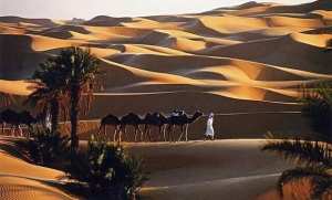 نحو فتح فرع لمجمع فندقة وسياحة وحمامات معدنية بأدرار