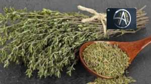 Les bienfaits de certaines plantes médicinales