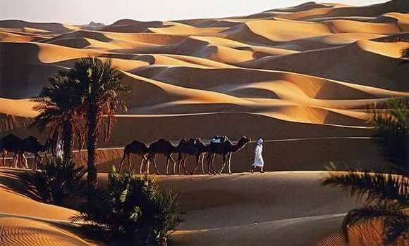 نحو فتح فرع لمجمع فندقة وسياحة وحمامات معدنية بأدرار - الشعب أونلاين