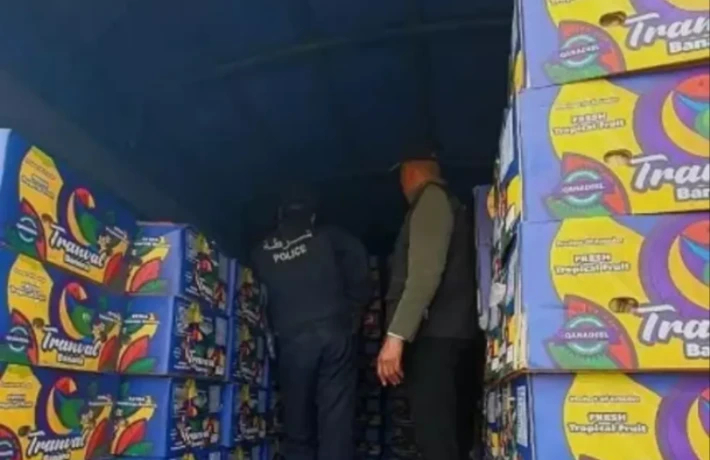 تيبازة : حجز أكثر من 26 قنطارا من مادة الموز