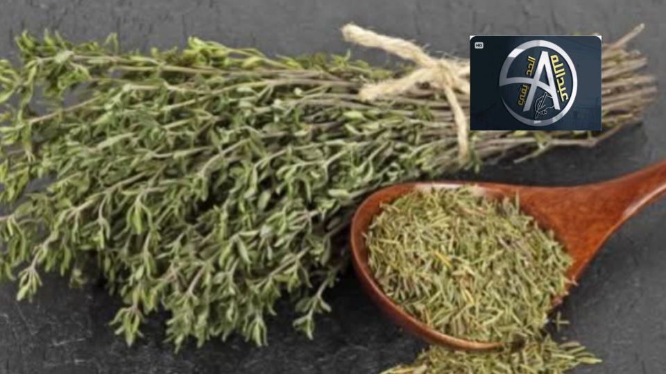 Les bienfaits de certaines plantes médicinales