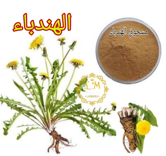 النبات الذي يقضي على خلايا السرطان