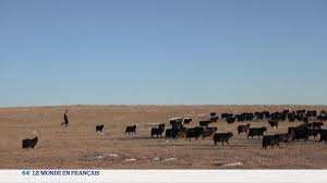 Planète (Asie) - Mongolie: les bergers premières victimes climatiques
