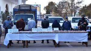 إحباط محاولة تهريب قرابة 73 ألف قرصا مهـلوسا بالنعامة