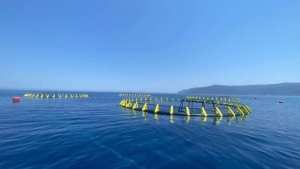 إنجاز قاعدة حياة لتربية المائيات في الأقفاص العائمة بسكيكدة