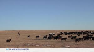 Planète (Asie) - Mongolie: les bergers premières victimes climatiques