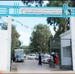 جمارك الوادي  تحجز  128100 قرصا مهلوسا كانت مخبأة في الصندوق الخلفي للمركبة .