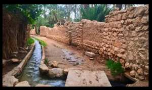 Chetma, la Majestueuse : Une Perle du Sud Intemporelle