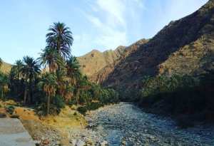 Béni Souik, l’Hospitalière : Un Havre Intemporel dans les Aurès (Biskra)