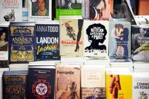 Comment transformer une idée en best-seller : Les secrets de la création littéraire