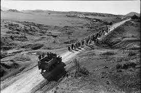 Planète (Afrique) - En Algérie, la France coloniale a aussi détruit la nature