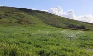 Tlemcen: mise en service de la 2ème phase du périmètre irrigué de  Tafna Isser