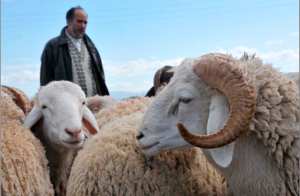 Vers des prix plus accessibles…