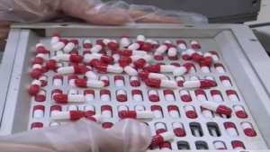 مفتشية أقسام الجمارك بالوادي تحبط  محاولة تهريب 262200 قرص مهلوس