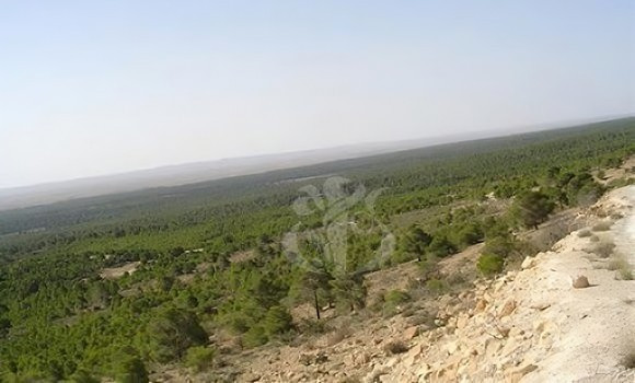 Barrage vert: le projet de réhabilitation avance à grands pas