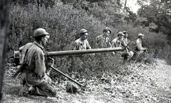 70e anniversaire de la Glorieuse guerre de libération: les forêts, bastion de résistance et témoin de l'héroïsme des moudjahidine