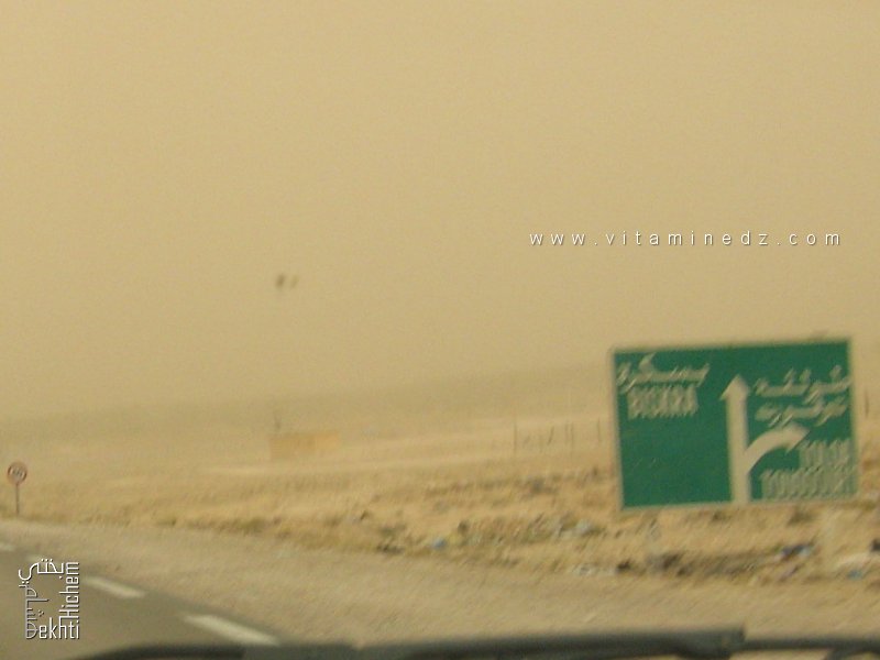 بلدية طولقة (بسكرة)