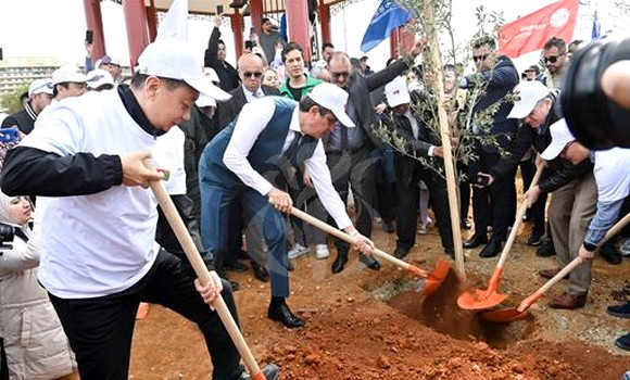 Algérie-Chine: plantation de 500 oliviers à Alger pour renforcer l'amitié