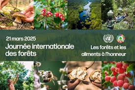 Planète - Journée internationale des forêts | 21 mars 