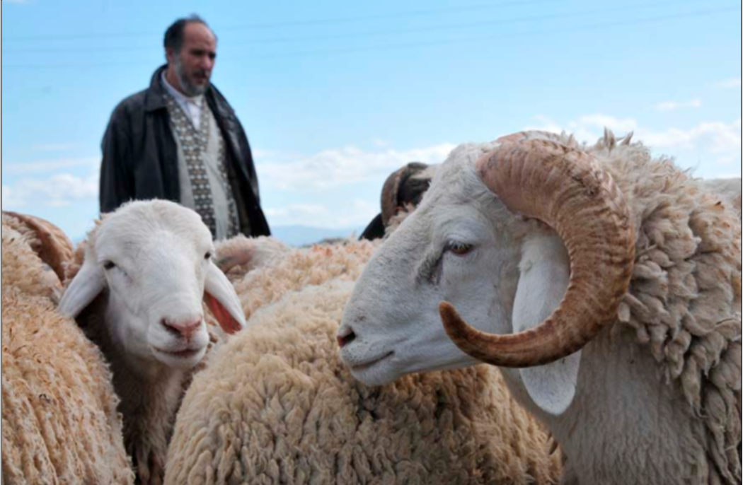 Vers des prix plus accessibles…