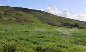 Tlemcen : Un nouvel élan pour l’agriculture grâce à la mise en service de la 2ème phase du périmètre irrigué  Tafna Isser