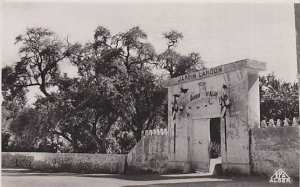 Le Jardin Landon : Un Éden Tropical au Cœur du Désert de Biskra