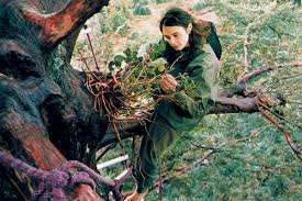 Pour une  Planète habitable  - Occuper les arbres: une stratégie de lutte payante