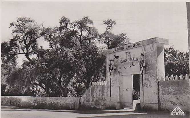 Le Jardin Landon : Un Éden Tropical au Cœur du Désert de Biskra