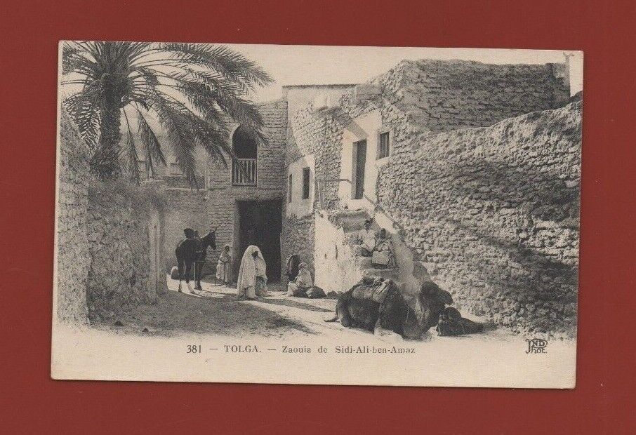 L’Histoire de la zaouïa de Tolga