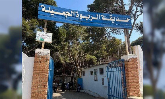 تيبازة: توافد كبير للزوار على مواقع الترفيه والسياحة خلال أيام العيد