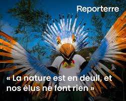 Planète (France/Europe) - «La nature est en deuil, et nos élus ne font rien»