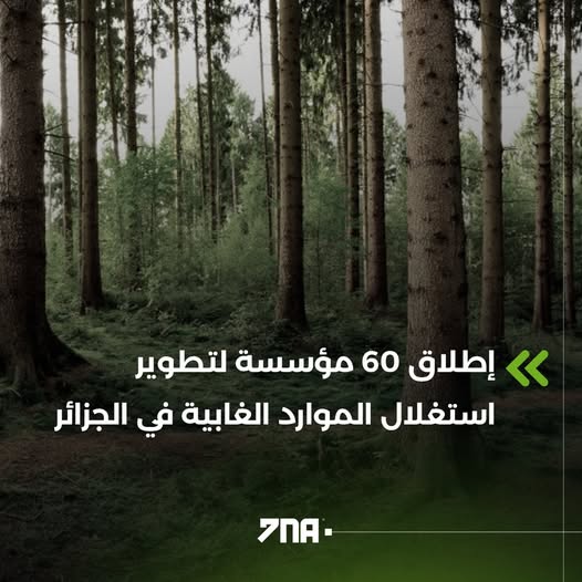 مشروع المديرية العامة للغابات لتطوير الموارد الغابية في الجزائر