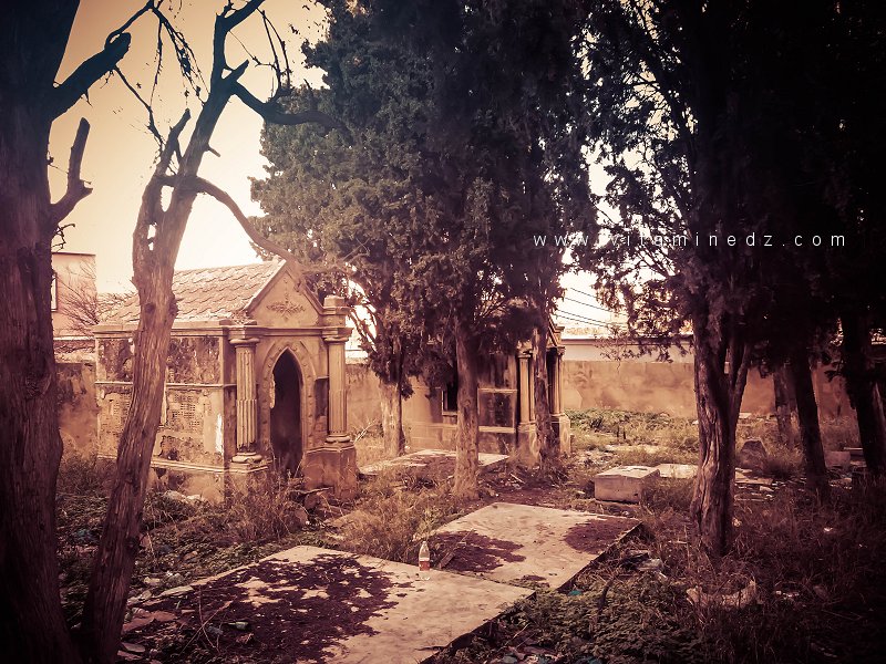 Le cimetière chrétien de Brea (Abou-Tachfine), Tlemcen