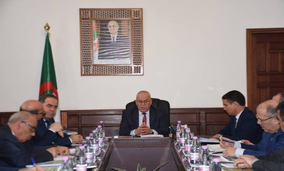 Aïd El Adha : Cherfa préside une réunion de la commission nationale chargée de l'importation des moutons