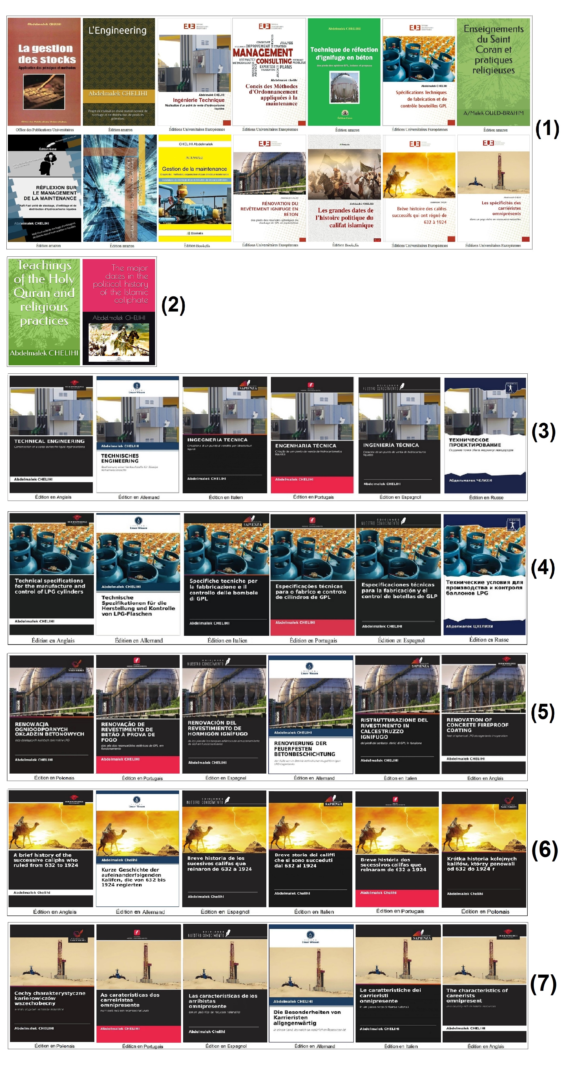 Ouvrages techniques, scientifiques et autres de l'auteur Abdelmalek CHELIHI