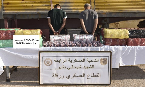 Reddition de 2 terroristes et arrestation de 9 éléments de soutien aux groupes terroristes en une semaine