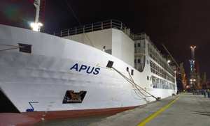 Aïd El Adha: arrivée du premier navire chargé de 15 mille têtes de moutons au port d'Alger