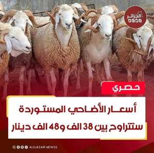 أسعار الأضاحي الرومانية المستوردة لعيد الأضحى 2025