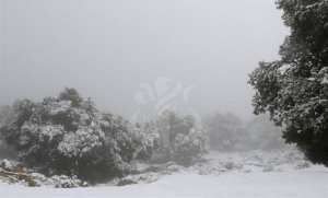 Chutes de neige, lundi, sur les reliefs dépassant les 1300 m et vents forts sur le Sud à partir de dimanche