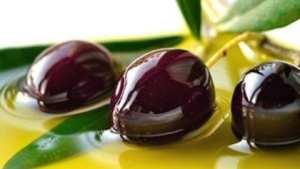 زيت زيتون ميلة يتألّق