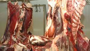 حجز و إتلاف 90 قنطارا من اللحوم الفاسدة داخل مطعم بوهران