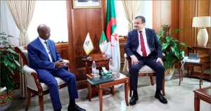 «L'Algérie œuvre à consolider les partenariats stratégiques avec les pays africains»