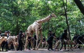 Planète (République démocratique du Congo/Afrique) - «The Herds», un troupeau de marionnettes en marche pour le climat