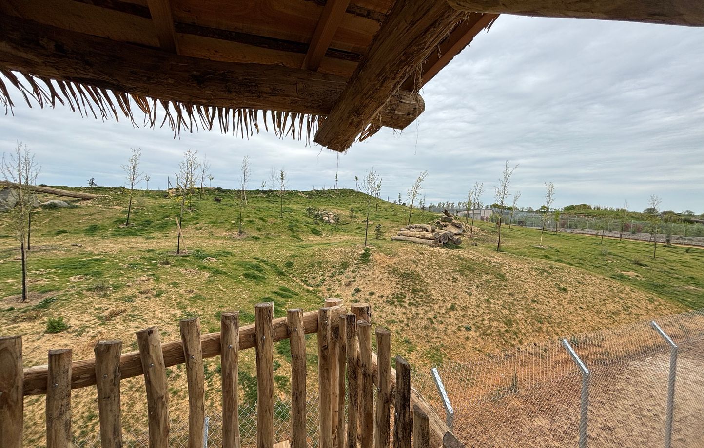 Planète (France/Europe) - «Nos animaux sont heureux»: Ces zoos qui mettent le paquet pour construire des enclos XXL