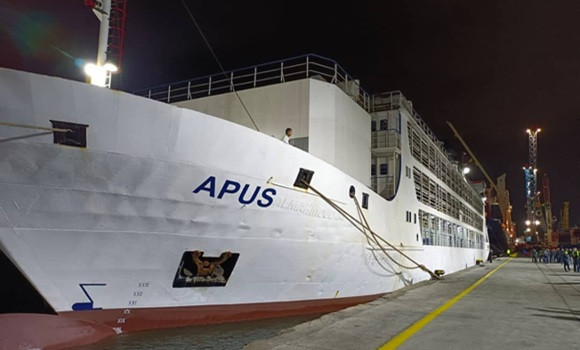 Aïd El Adha: arrivée du premier navire chargé de 15 mille têtes de moutons au port d'Alger