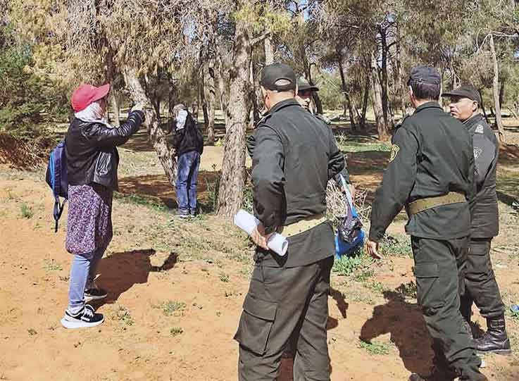 Algérie (Mostaganem)  -  Les forêts menacées par la sécheresse.